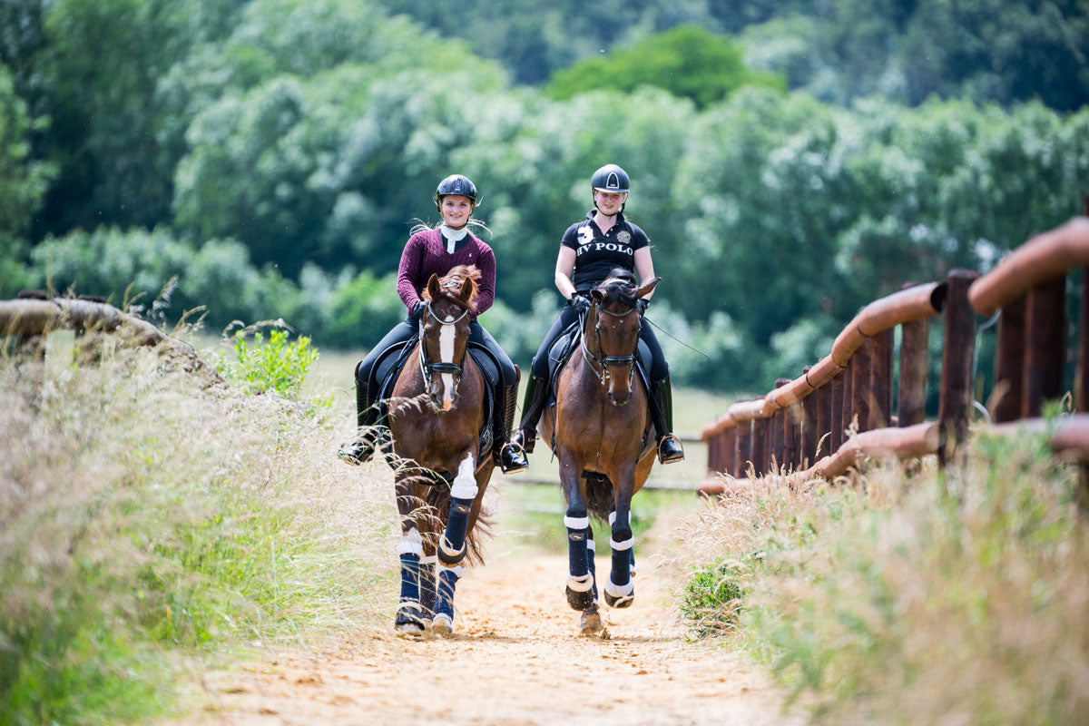 Energy sources for the sugar-sensitive horse