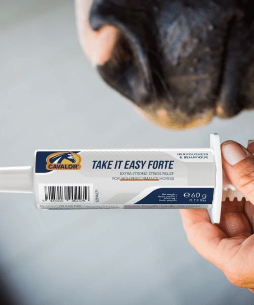 Cavalor Take It Easy Forte - Cavalor Direct